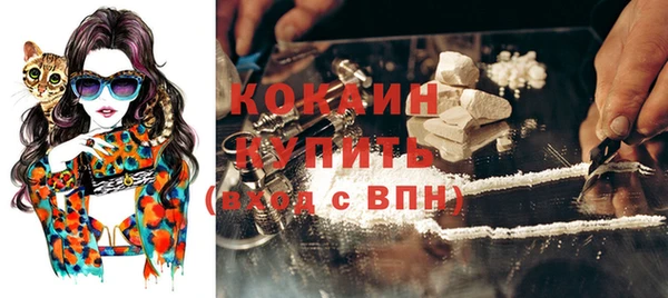 прущие крисы Каменногорск