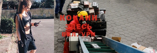прущие крисы Каменногорск