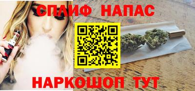 гидра Ставрополь