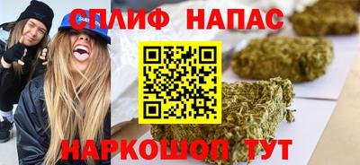 гидра Ставрополь