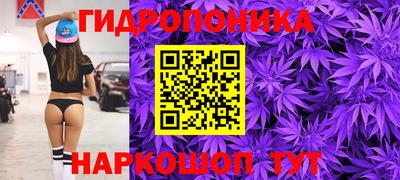 гидра Ставрополь