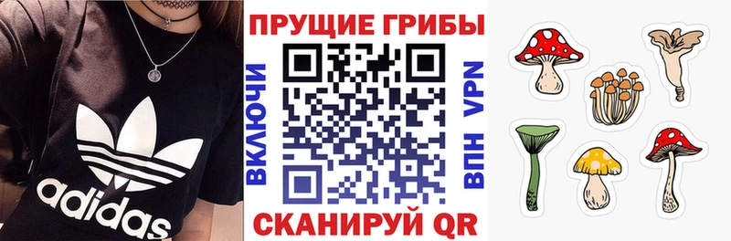 площадка как зайти  кракен зеркало  Псилоцибиновые грибы Cubensis  Рязань  продажа наркотиков 