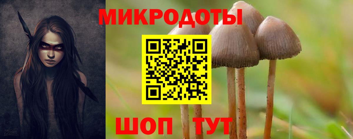 Галлюциногенные грибы мухоморы Рязань